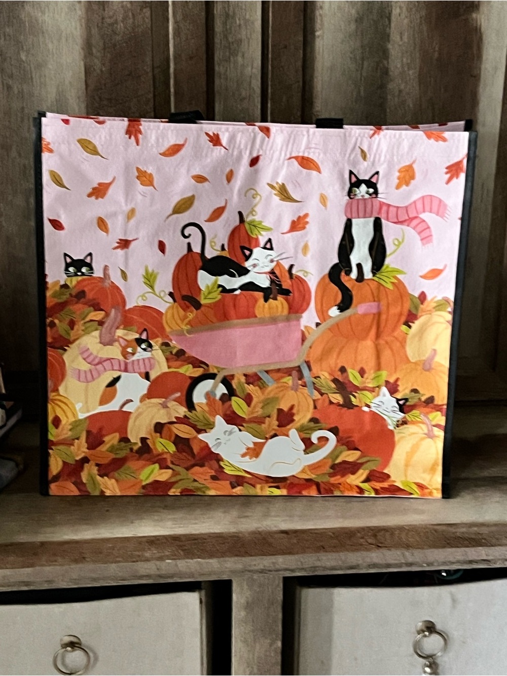 Autumn Cat & Pumpkin Reusable Tote Bag in Pink